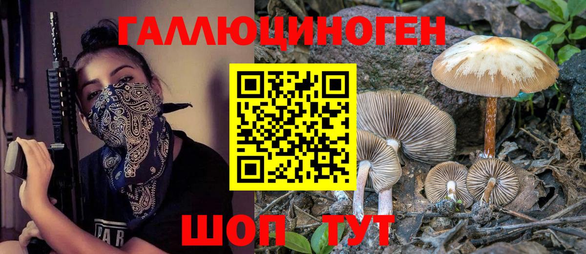 Мичуринск  Галлюциногенные грибы GOLDEN TEACHER  Вход с VPN 