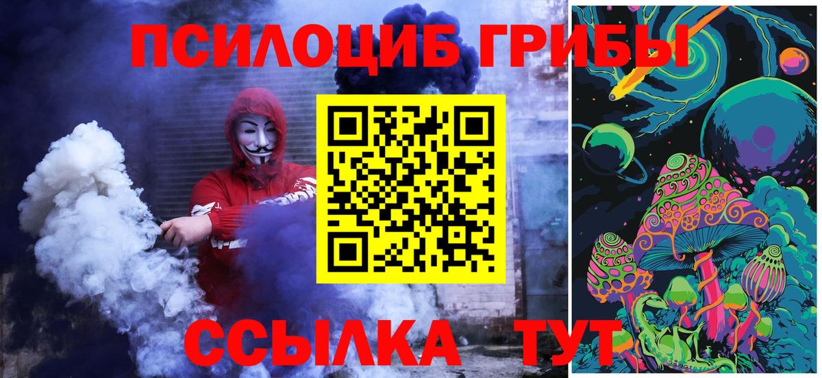 Псилоцибиновые грибы Cubensis Мичуринск